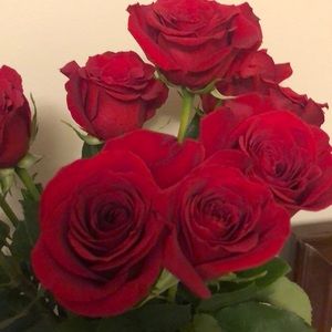 Meet your Posher, Ethan